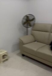 Le Marican (D14), Apartment #551241991